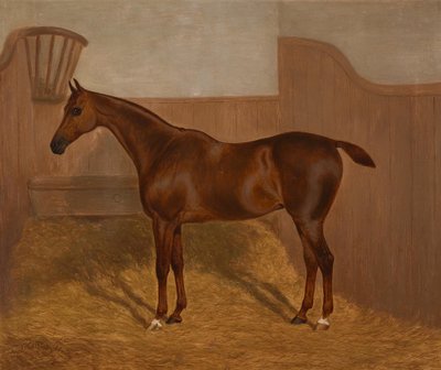 Horse Portrait (Lady Oswestry or Dandy, One of Two Paintings Offered in a Lot with These Titles) by F. Clifton